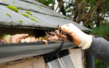 gutter cleaning Pitmuies, Angus