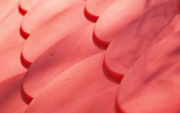 Pitmuies plastic roof costs