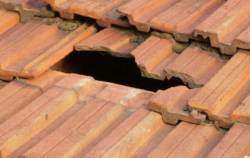 roof repair Pitmuies, Angus