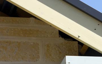 soffit repair Pitmuies