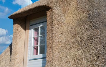 Pitmuies thatch roof disadvantages