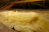 Pitmuies pitch roof insulation